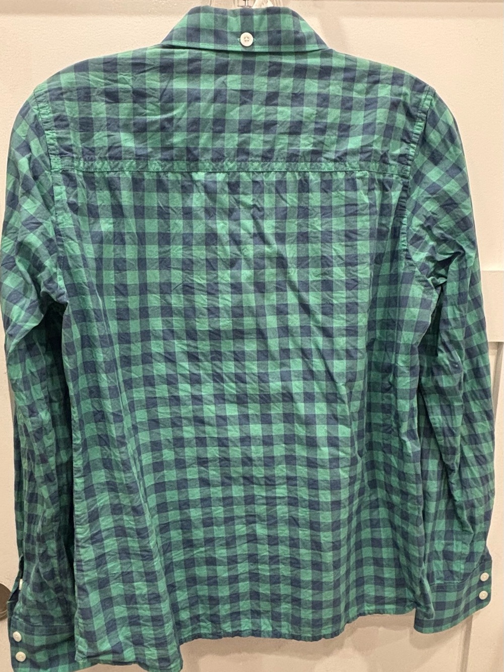 Patagonia Green and Blue Gingham Button-Down Shirt - Picture 4 of 5